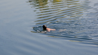 � ������ �������� ��������� �������� �� �����