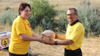 ��������� ���������� ����������� ����������� �� �������� ������� ������