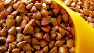 Министерство подтвердило рост цен на гречку Министерство подтвердило рост цен на гречку