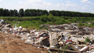 Базу отдыха в Энгельсе наказали за свалки мусора возле Волги