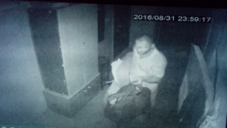 Камера наблюдения сняла предполагаемого вора из Тепличного