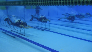 ��������� �������� ����������� ������ �� ���������� ��������������