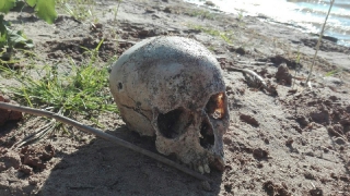 Очевидец: Из обрыва над Волгой торчат гробы со скелетами