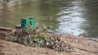 Саратовские студенты и экологи очистили от мусора берег Волги