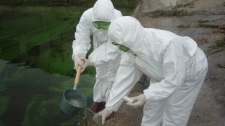 � �������� ����������� ����������� ����������