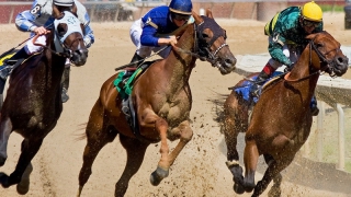 ����������� �������� ������� ������ ������ ����