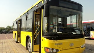 Минтранс проиграл иск о возмещении льготного проезда Минтранс проиграл иск о возмещении льготного проезда