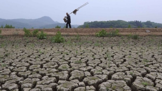 ��������� ������ ������������ ������ ����� ���������� ����� � �����