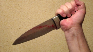 85-летняя женщина умерла после нападения молодого налетчика 85-летняя женщина умерла после нападения молодого налетчика