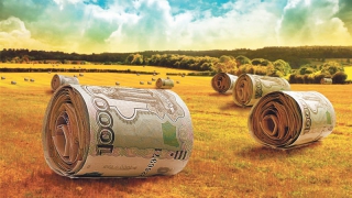 Депутаты не послушали коллегу, назвавшего законопроект «русской рулеткой» Депутаты не послушали коллегу, назвавшего законопроект «русской рулеткой»