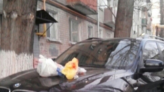 ������ ���������� ������ �������� �� ���» ������