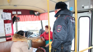 В Балакове искали «нелегалов» среди водителей