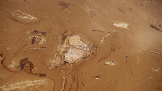 Глава Росприроднадзора признал деградацию Волги Глава Росприроднадзора признал деградацию Волги