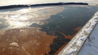 Источник загрязнения Волги у Саратова пока не найден Источник загрязнения Волги у Саратова пока не найден