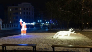 Новый замглавы администрации лично обнаружил сломанного оленя Новый замглавы администрации лично обнаружил сломанного оленя