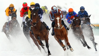 ��������� ����� ����������� �� ������� ������ ������ � ���������-2017