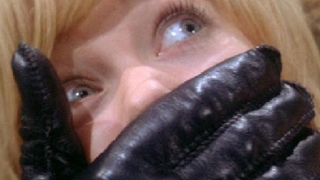 ������� ���������� � �������, ��� ������ �������� �� �������� ����������