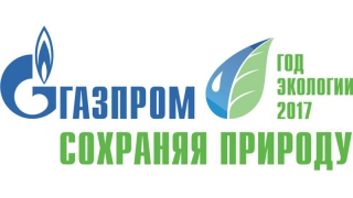 �������� �������� ������� ���������� �������������� ������������� ����������� � ������ ���� ��������