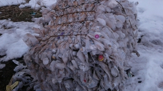 В Балакове компания открестилась от выброшенного мусора В Балакове компания открестилась от выброшенного мусора