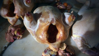 Возле рынка в Энгельсе нашли куриные тушки с запахом разложения