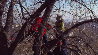В районе Кумысной поляны спасатели сняли с дерева ребенка