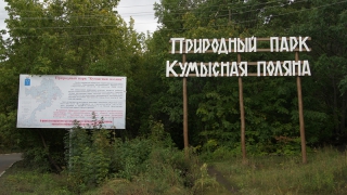 В Саратове суд запретил строительство гостиницы на Кумысной поляне
