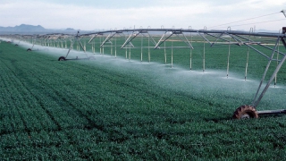 Губернатор поручил «не ждать чуда», а обеспечивать Заволжье водой Губернатор поручил «не ждать чуда», а обеспечивать Заволжье водой