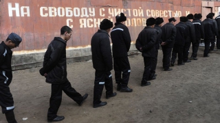В Саратовской области заключенные порезали себя осколками лампочек