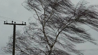 МЧС предупредило саратовцев о порывах ветра МЧС предупредило саратовцев о порывах ветра