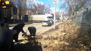 Тротуар вдоль Детского парка освободили от рухнувшего дерева