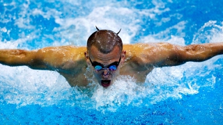 Саратовские пловцы-сурдолимпийцы выиграли 14 медалей на чемпионате России