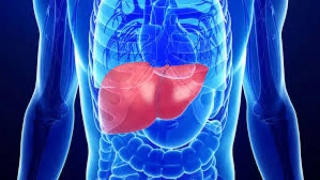 Саратовцев поражает болезнь Боткина Саратовцев поражает болезнь Боткина