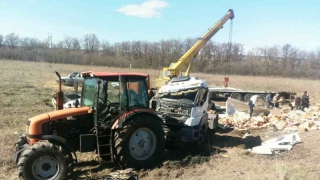 �������� ������������ ������� �� ���������������� �� ������ ���������