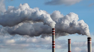 Минприроды: Воздух в Саратовской области стал меньше загрязняться Минприроды: Воздух в Саратовской области стал меньше загрязняться