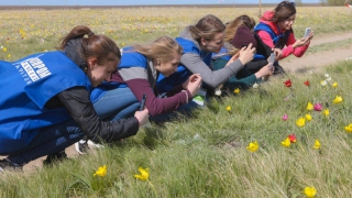 ��� ��������� ��� �������� �������� ������� ��������� ��������������� ��������� ���������