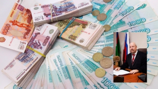 Директор ветеринарной лаборатории увеличил доход до 1,7 млн рублей Директор ветеринарной лаборатории увеличил доход до 1,7 млн рублей