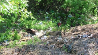Участники рейда осмотрели «бессмертную» свалку и засыпанный мусором овраг с прудами