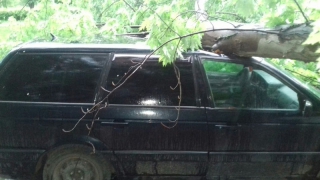 � �������� ������� ���� �������� ��������