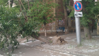 На Аткарской над дорогой нависло сломанное дерево