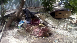 В центре Саратова бездомные устроили лежбище