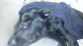 � �������� �������� ������� �������� �����