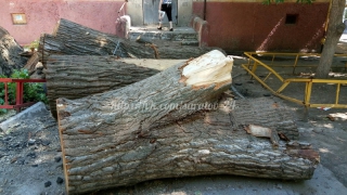 ��������� ������������ �� ������� ��� ������ ��������� �������