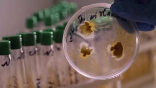 Кишечные инфекции поразили жителей Саратова и 4-х районов области Кишечные инфекции поразили жителей Саратова и 4-х районов области