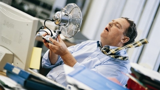 Саратовцам посоветовали устраивать рабочий день на 1 час при температуре +32,5 Саратовцам посоветовали устраивать рабочий день на 1 час при температуре +32,5