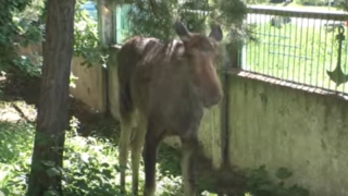 � �������� ������ ���������� ����. ����� 