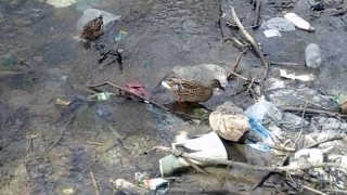 ������������� ������� � ���������� ������ ������ � ���� �������