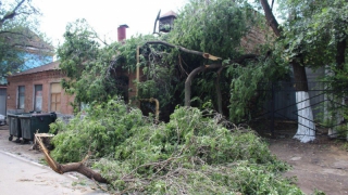 ������ ����� ������� ������ �� ����� ���