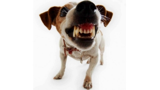 � �������� ��������� �������� ������