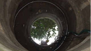 ������ ������������� ������������ ������� ������ �������� � ��������