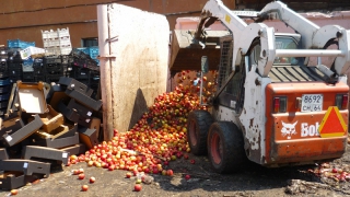 В Саратове уничтожили почти 3 тонны польских яблок